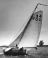 Foto genomen in Grouw in 1955